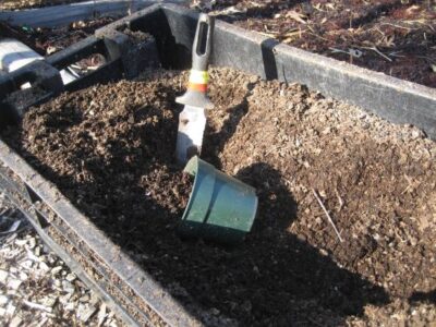 Compost: The End and the New Beginning Image